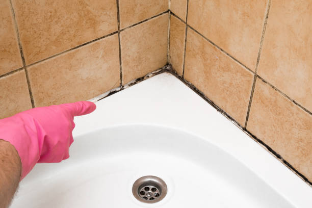 Best Mold Removal Company Near Me  in Hawkinsville, GA